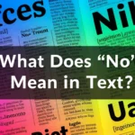 What Does “No” Mean in Text