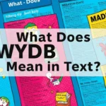 What Does WYDB Mean in Text