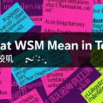 What WSM Mean in Text