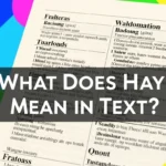 What Does Hay Mean in Text