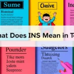 What Does INS Mean in Text