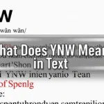 What Does YNW Mean in Text