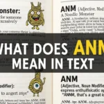 What Does ANM Mean in Text