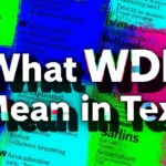 What WDF Mean in Text