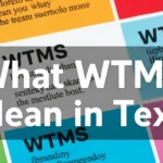 What WTMS Mean in Text