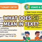 What Does SII Mean in Text