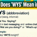 What Does “WYS” Mean in Text
