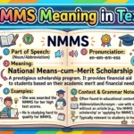 NMMS Meaning in Text