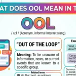 What Does OOL Mean in Text