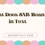 What Does SNB Mean in Text