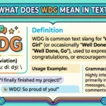 What Does WDG Mean in Text