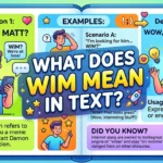 What Does WIM Mean in Text