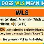 What Does WLS Mean in Text