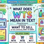 What Does WTS Mean in Text