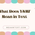 What Does YSMF Mean in Text