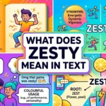 What Does Zesty Mean in Text