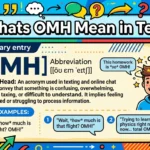 Whats OMH Mean in Text